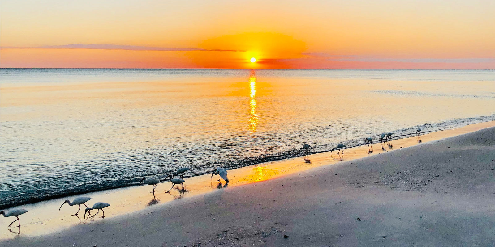 La Jolla